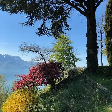 Vila Lovely In Lavaux With Unique View !