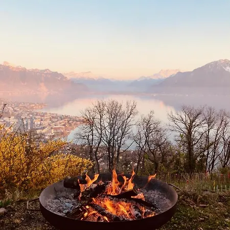Lovely In Lavaux With Unique View ! Vila