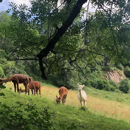 Lavaux - Romantic Escape With Magic Views! 샤도네