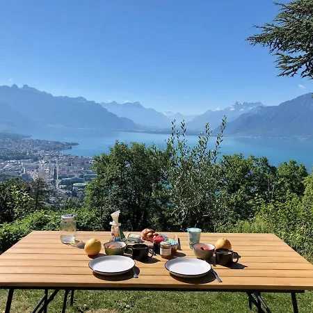 Lovely In Lavaux With Unique View ! * Chardonne