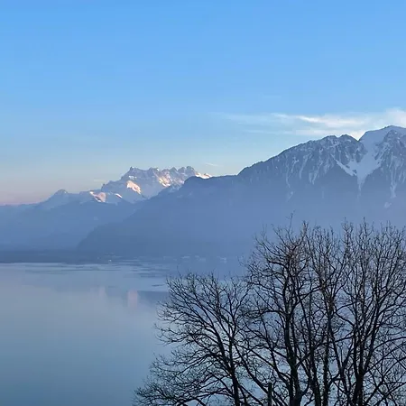 Vila Lovely In Lavaux With Unique View !