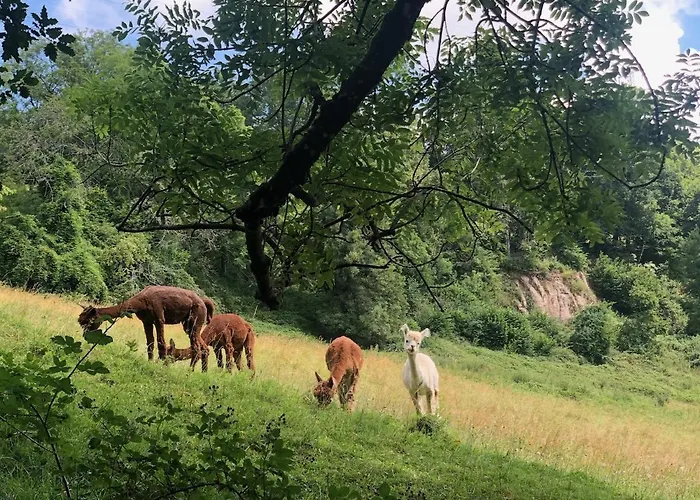 Lavaux - Romantic Escape With Magic Views! شاردون