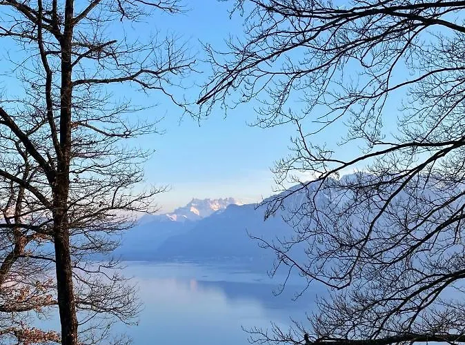 וילה Lavaux - Romantic Escape With Magic Views! Chardonne